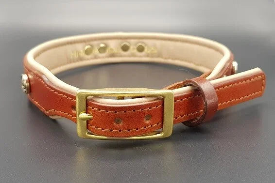 Riemen Halsband, Hunde Halsband handgefertigt, Halsband Konfigurator, DIY Hundehalsband, Riemen Halsband handmade-4-dogs, Lasergravierter Steckverschluss, handgefertigtes Hundehalsband mit Edelstein
