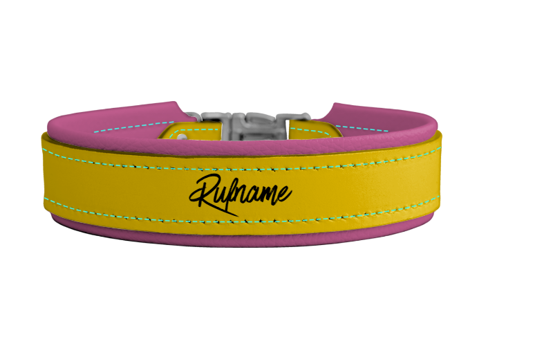 Riemen Halsband mit Namensgravur, Steckverschluss