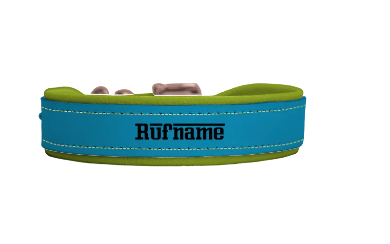 Riemen Halsband mit Namensgravur, Schnallenverschluss