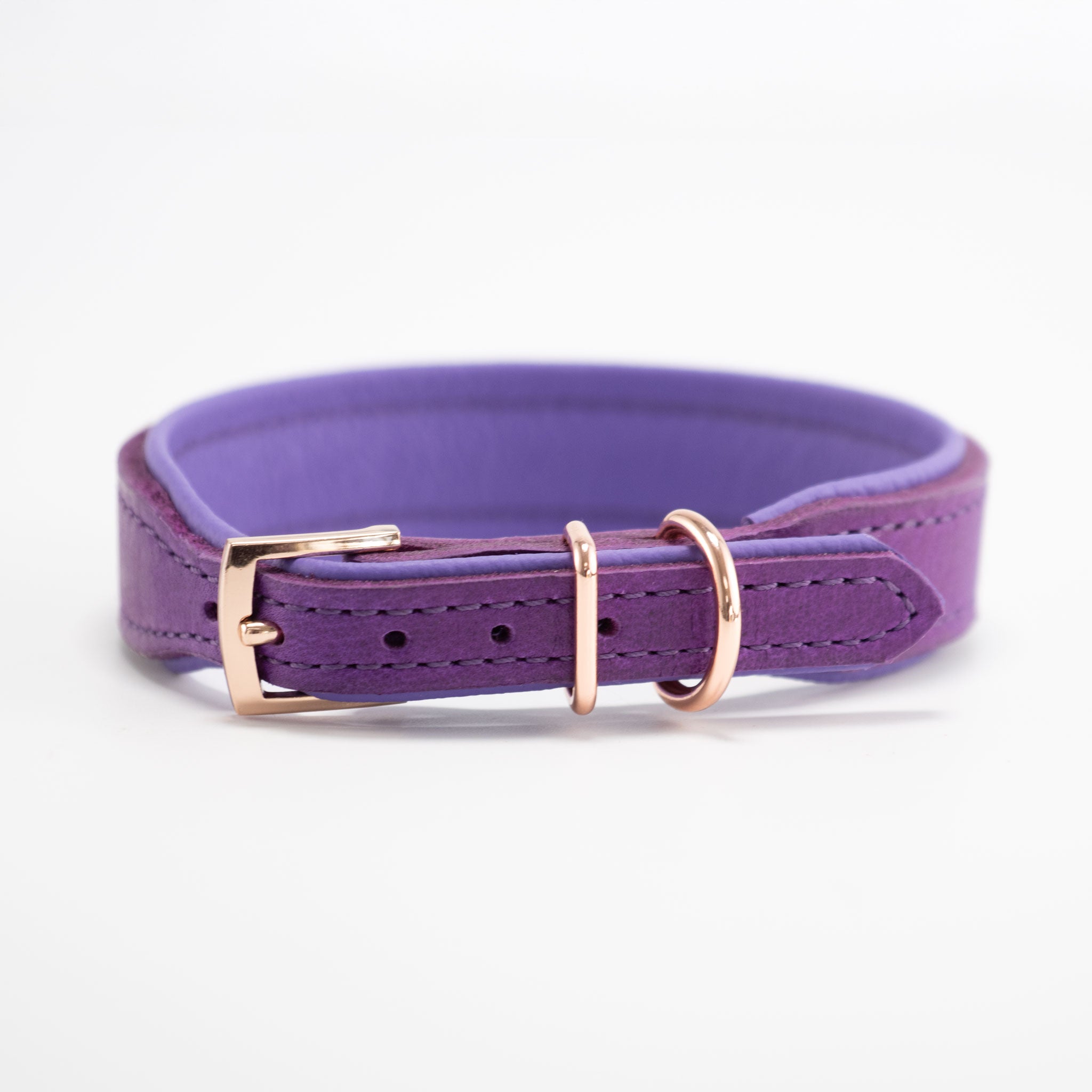 fettlederriemen halsband von hinten, rosegoldene dornschließe und beschläge, unterlegt mit lila nappa