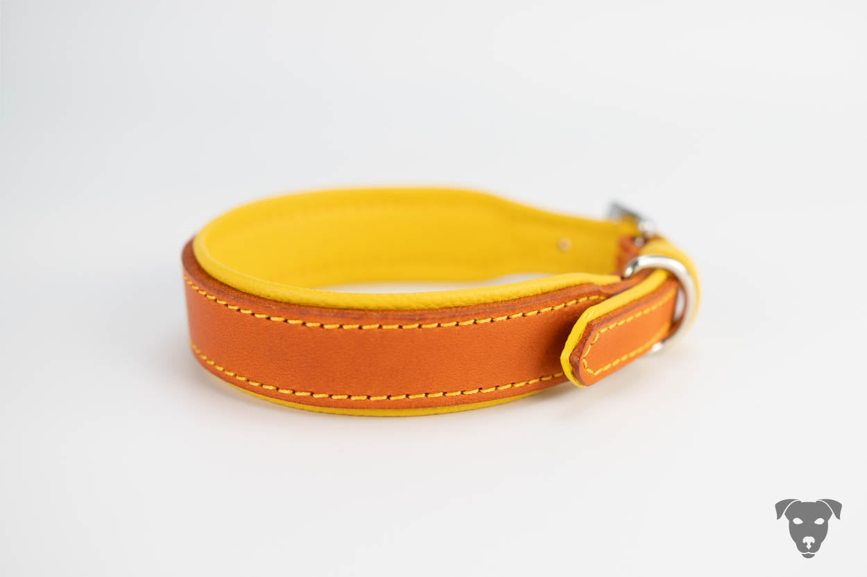 Fettleder Halsband orange & gelb