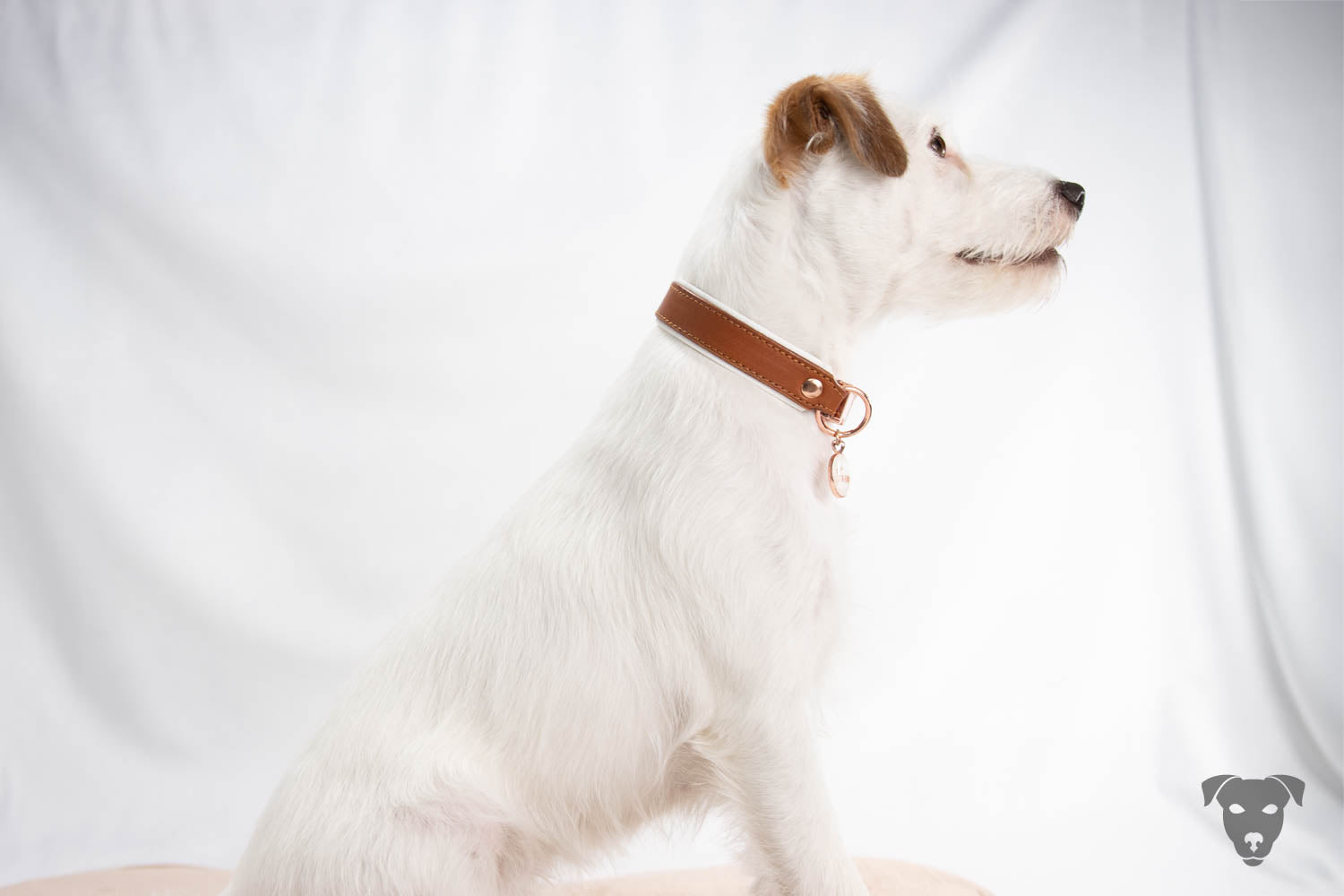 Hundehalsband feinst bestickt, handgefertigte Hundehalsbänder aus Meisterhand. Fettleder Halsband, Riemen Halsband oder klassisches Nappa Halsband, mit Lasergravur, Heiß Geprägt oder feinst bestickt, handmade-4-dogs