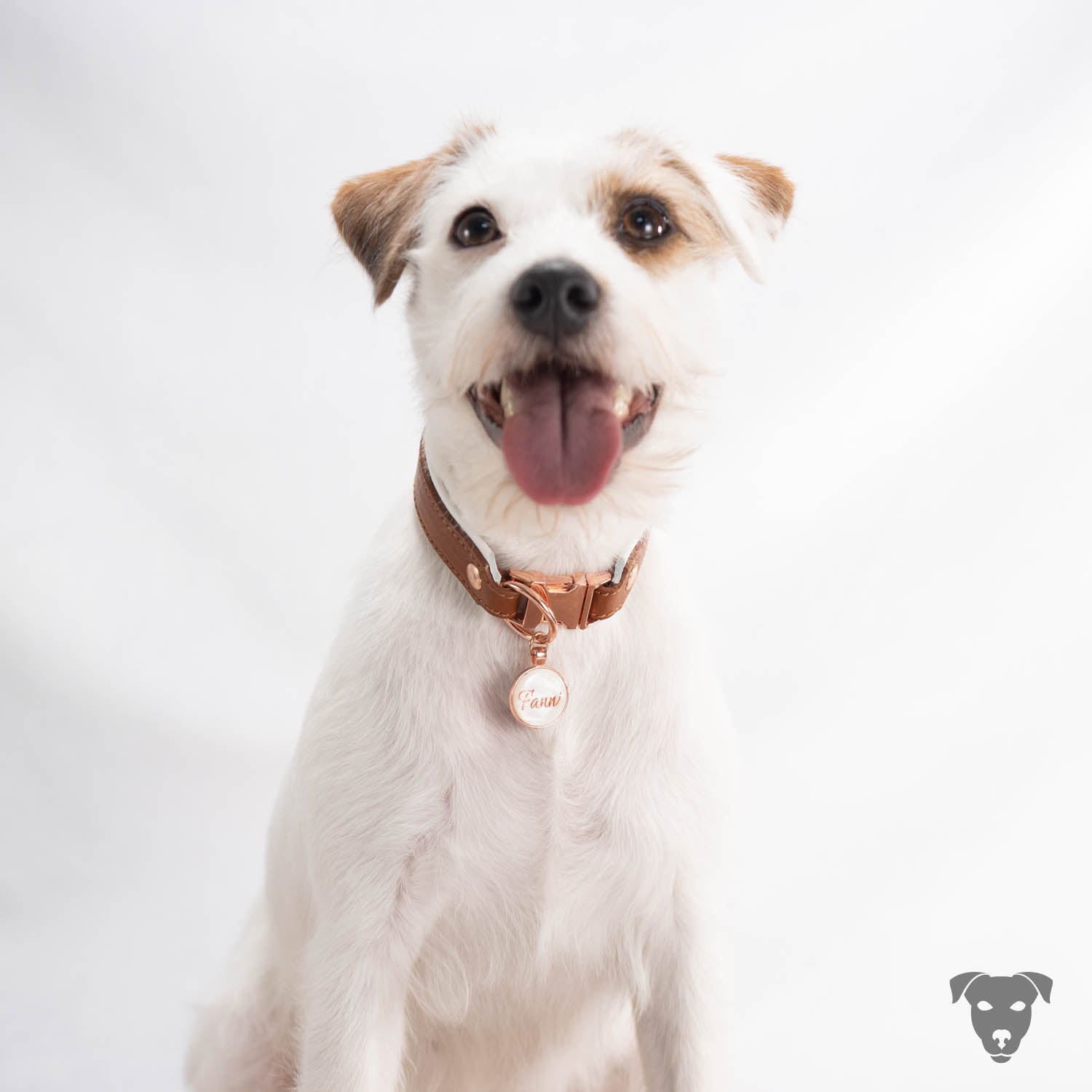 Hundehalsband feinst bestickt, handgefertigte Hundehalsbänder aus Meisterhand. Fettleder Halsband, Riemen Halsband oder klassisches Nappa Halsband, mit Lasergravur, Heiß Geprägt oder feinst bestickt, handmade-4-dogs, Terrier Fettlederhalsband