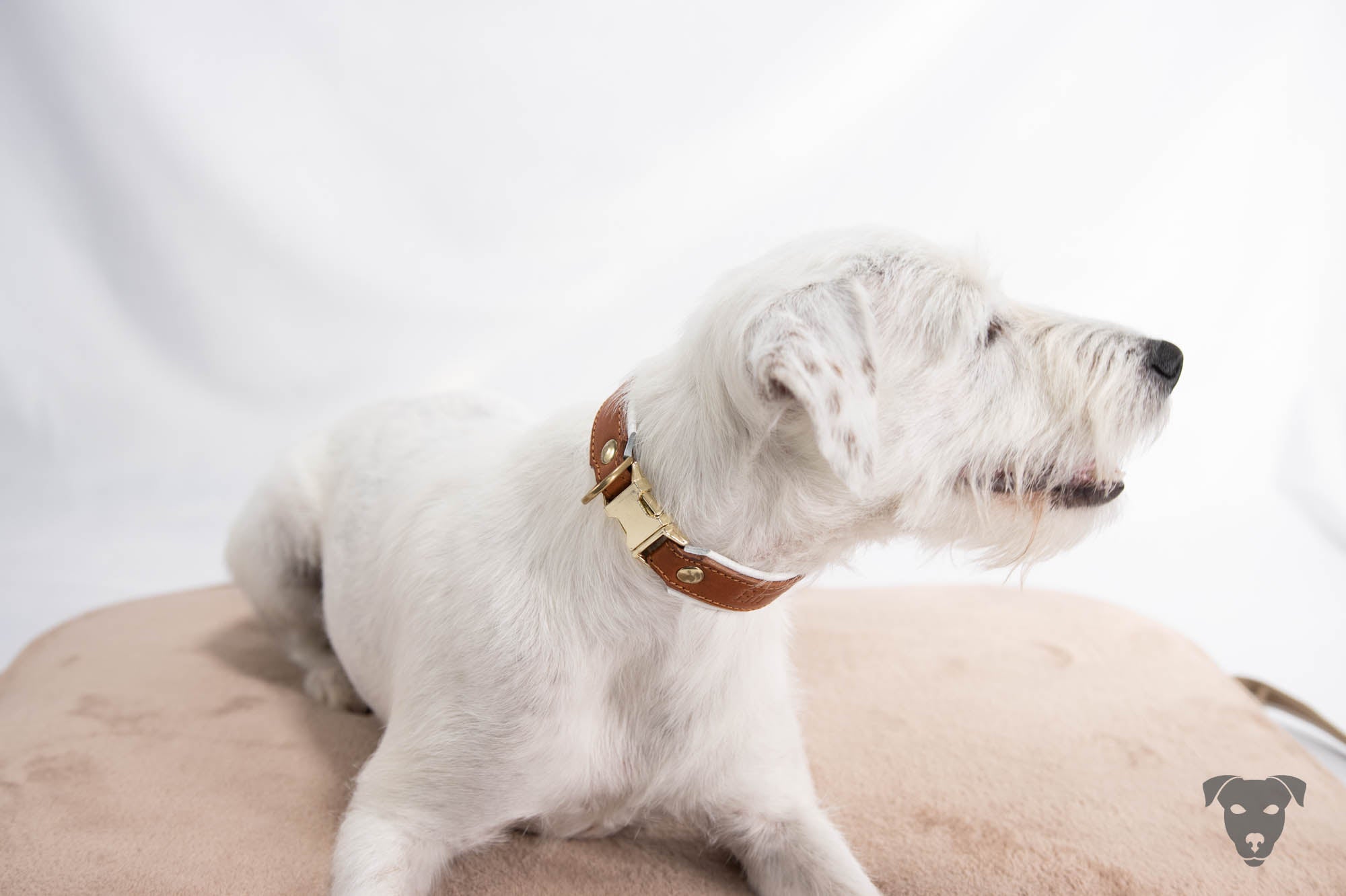 Hundehalsband feinst bestickt, handgefertigte Hundehalsbänder aus Meisterhand. Fettleder Halsband, Riemen Halsband oder klassisches Nappa Halsband, mit Lasergravur, Heiß Geprägt oder feinst bestickt, handmade-4-dogs