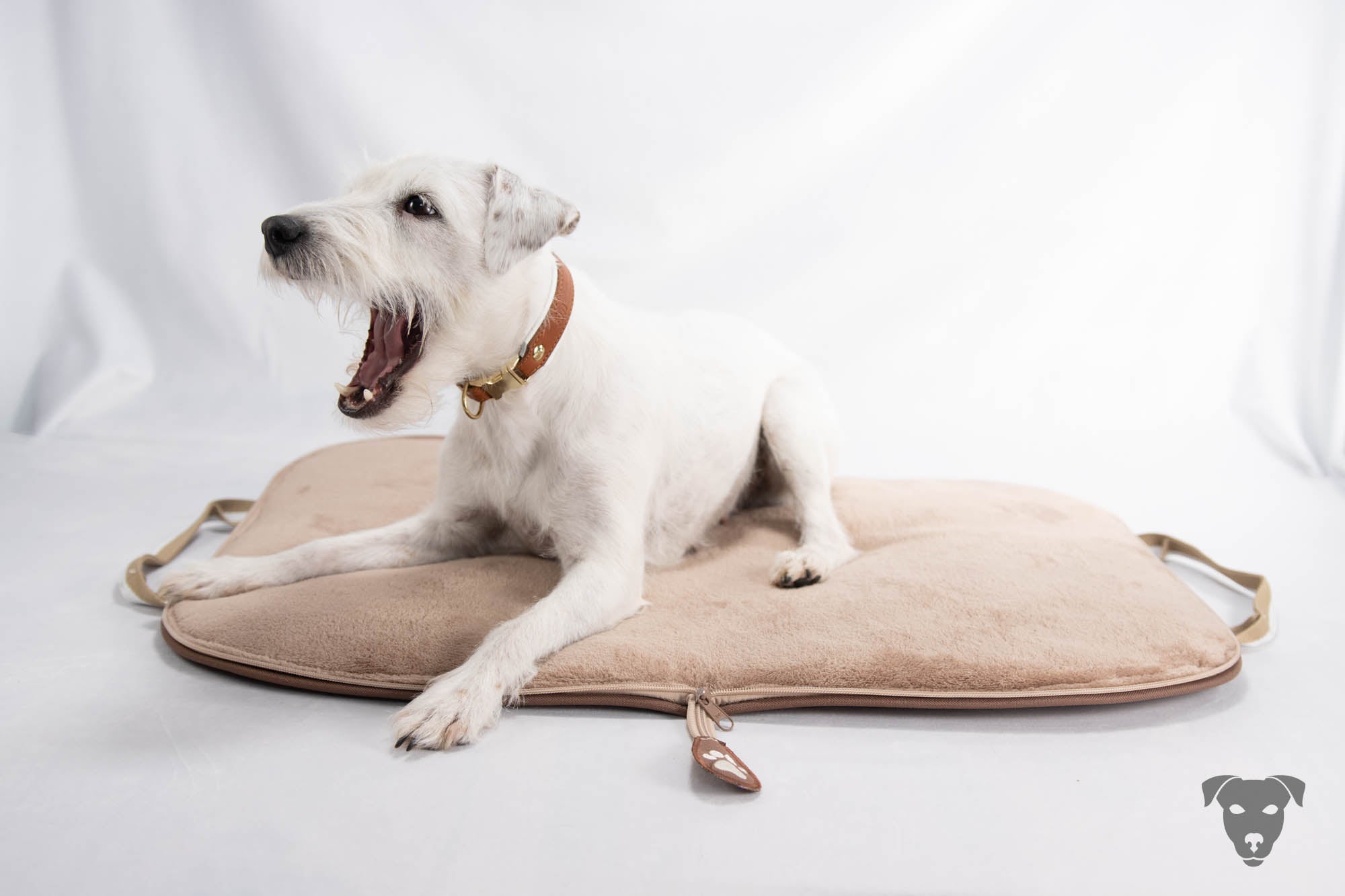 Hundehalsband feinst bestickt, handgefertigte Hundehalsbänder aus Meisterhand. Fettleder Halsband, Riemen Halsband oder klassisches Nappa Halsband, mit Lasergravur, Heiß Geprägt oder feinst bestickt, handmade-4-dogs