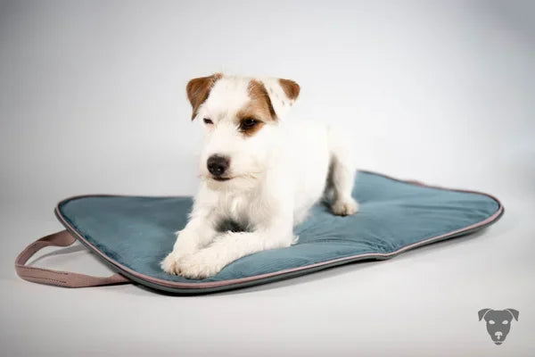 Hunde Reisebett, Dog-bed-to-go, hundematte