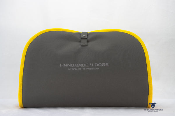 DBTG-L GRAU-SONNENGELB