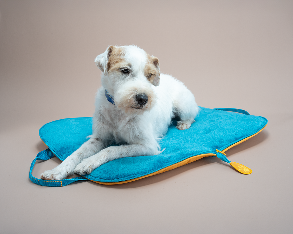 Parson Russell Terrier liegt auf einem Hunde Reisebett dessen Liegefläche türkis ist