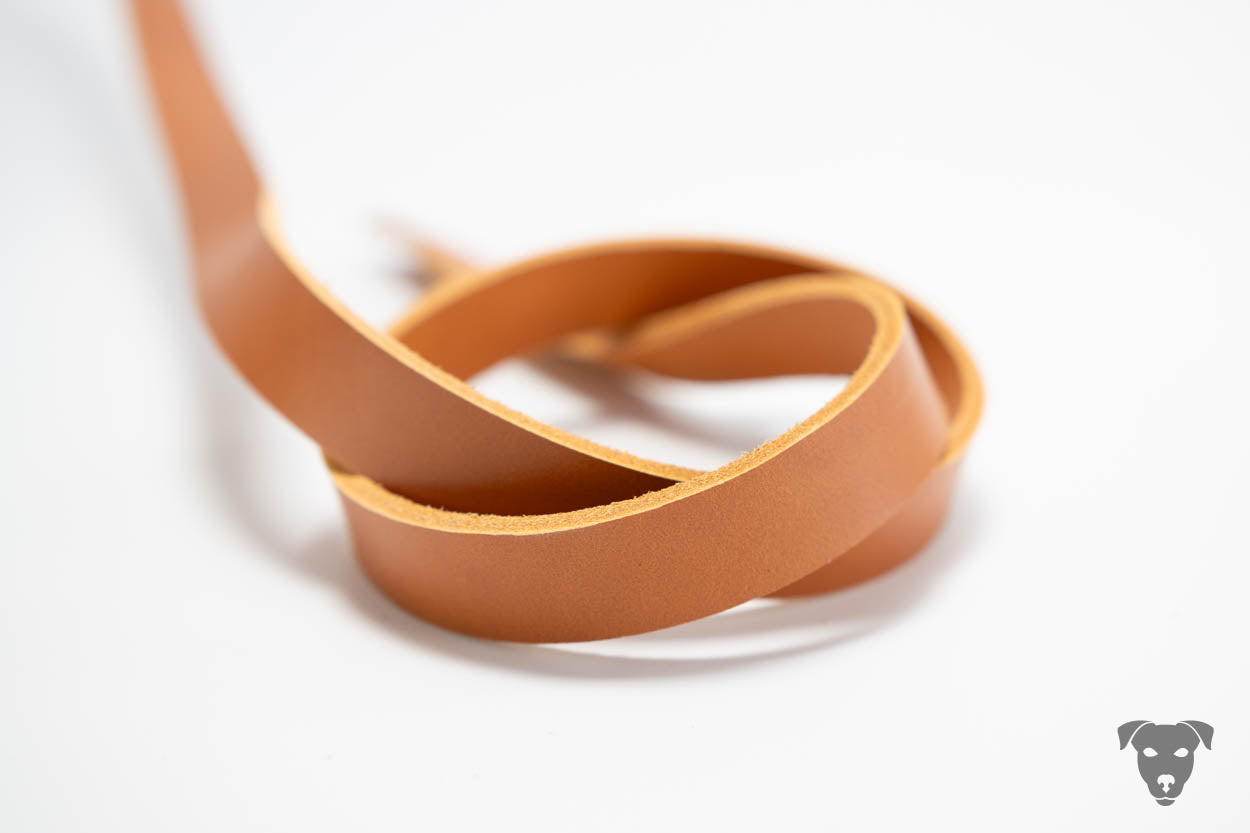 Riemen Halsband, Hunde Halsband handgefertigt, Halsband Konfigurator, DIY Hundehalsband, Riemen Halsband handmade-4-dogs, Lasergravierter Steckverschluss