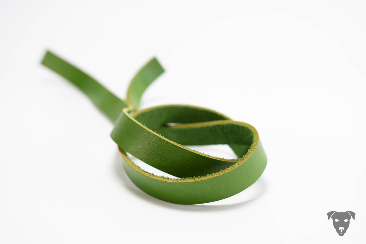 Riemen Halsband - grasgrüner Riemen
