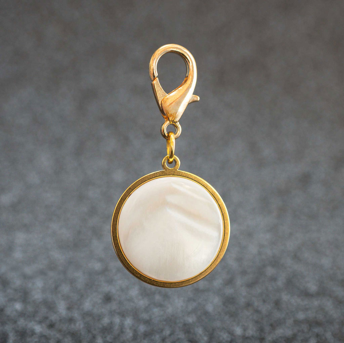 goldene Muschel-Hundemarke rohling vorderansicht