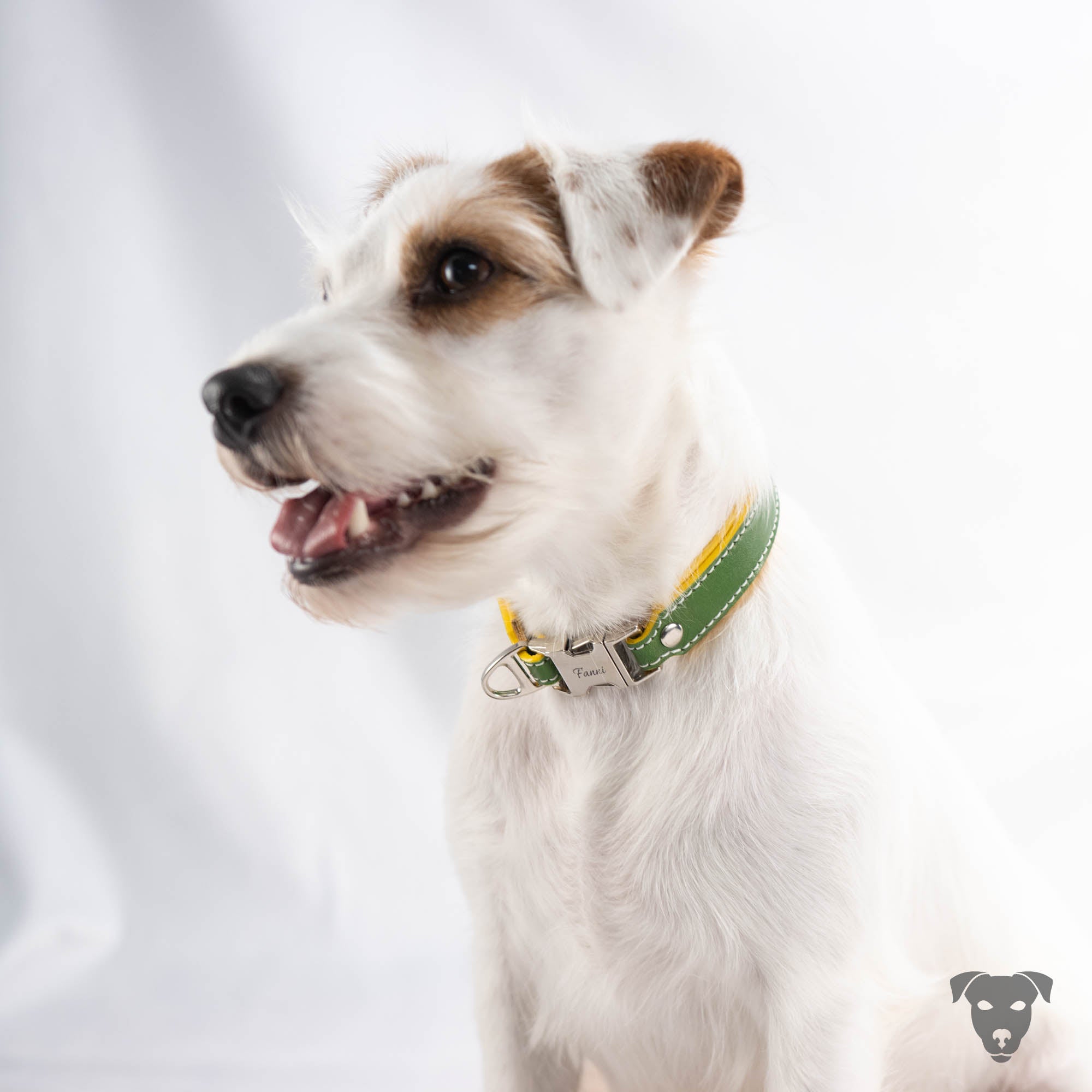Riemen Halsband, Hunde Halsband handgefertigt, Halsband Konfigurator, DIY Hundehalsband, Riemen Halsband handmade-4-dogs, Lasergravierter Steckverschluss, Bourbon Vanille of Green Spirits, of green Spirits, Parson Russell Terrier