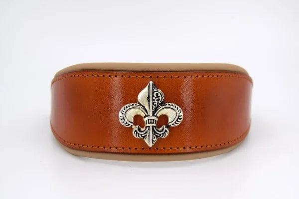 Riemen Halsband, Hunde Halsband handgefertigt, Halsband Konfigurator, DIY Hundehalsband, Riemen Halsband handmade-4-dogs, Lasergravierter Steckverschluss, handgefertigtes Hundehalsband mit Edelstein