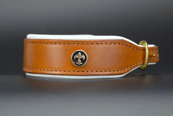 Riemen Halsband, Hunde Halsband handgefertigt, Halsband Konfigurator, DIY Hundehalsband, Riemen Halsband handmade-4-dogs, Lasergravierter Steckverschluss, handgefertigtes Hundehalsband mit Edelstein