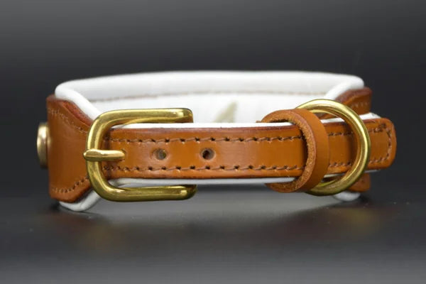 Riemen Halsband, Hunde Halsband handgefertigt, Halsband Konfigurator, DIY Hundehalsband, Riemen Halsband handmade-4-dogs, Lasergravierter Steckverschluss, handgefertigtes Hundehalsband mit Edelstein