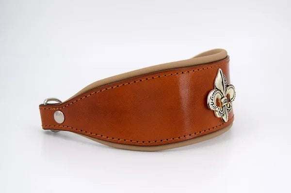 Riemen Halsband, Hunde Halsband handgefertigt, Halsband Konfigurator, DIY Hundehalsband, Riemen Halsband handmade-4-dogs, Lasergravierter Steckverschluss, handgefertigtes Hundehalsband mit Edelstein