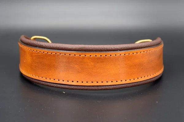 Riemen Halsband, Hunde Halsband handgefertigt, Halsband Konfigurator, DIY Hundehalsband, Riemen Halsband handmade-4-dogs, Lasergravierter Steckverschluss, handgefertigtes Hundehalsband mit Edelstein