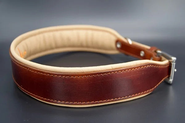 Riemen Halsband, Hunde Halsband handgefertigt, Halsband Konfigurator, DIY Hundehalsband, Riemen Halsband handmade-4-dogs, Lasergravierter Steckverschluss, handgefertigtes Hundehalsband mit Edelstein