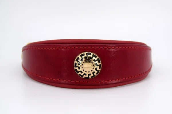 Riemen Halsband, Hunde Halsband handgefertigt, Halsband Konfigurator, DIY Hundehalsband, Riemen Halsband handmade-4-dogs, Lasergravierter Steckverschluss