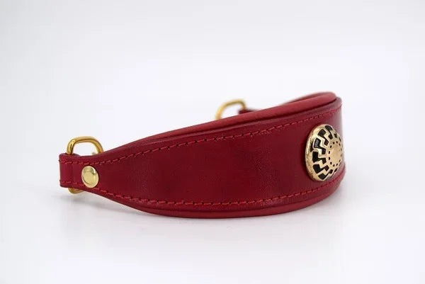 Riemen Halsband, Hunde Halsband handgefertigt, Halsband Konfigurator, DIY Hundehalsband, Riemen Halsband handmade-4-dogs, Lasergravierter Steckverschluss