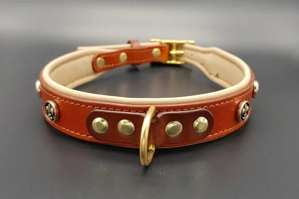 Riemen Halsband, Hunde Halsband handgefertigt, Halsband Konfigurator, DIY Hundehalsband, Riemen Halsband handmade-4-dogs, Lasergravierter Steckverschluss, handgefertigtes Hundehalsband mit Edelstein