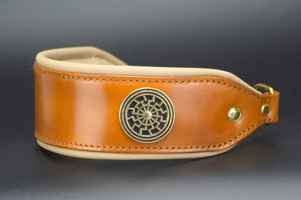 Riemen Halsband, Hunde Halsband handgefertigt, Halsband Konfigurator, DIY Hundehalsband, Riemen Halsband handmade-4-dogs, Lasergravierter Steckverschluss, handgefertigtes Hundehalsband mit Edelstein