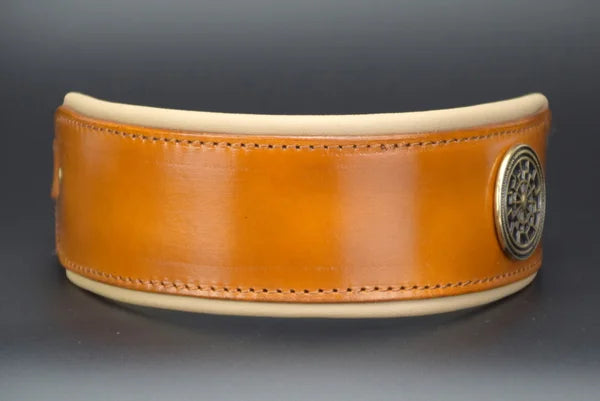 Riemen Halsband, Hunde Halsband handgefertigt, Halsband Konfigurator, DIY Hundehalsband, Riemen Halsband handmade-4-dogs, Lasergravierter Steckverschluss, handgefertigtes Hundehalsband mit Edelstein