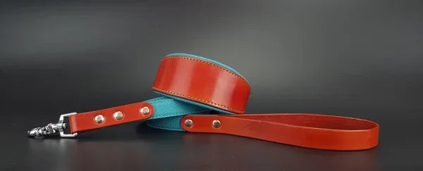 Riemen Halsband, Hunde Halsband handgefertigt, Halsband Konfigurator, DIY Hundehalsband, Riemen Halsband handmade-4-dogs, Lasergravierter Steckverschluss, handgefertigtes Hundehalsband mit Edelstein