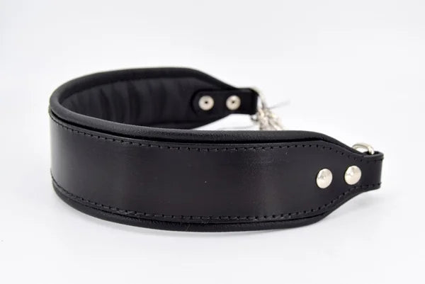 Riemen Halsband, Hunde Halsband handgefertigt, Halsband Konfigurator, DIY Hundehalsband, Riemen Halsband handmade-4-dogs, Lasergravierter Steckverschluss