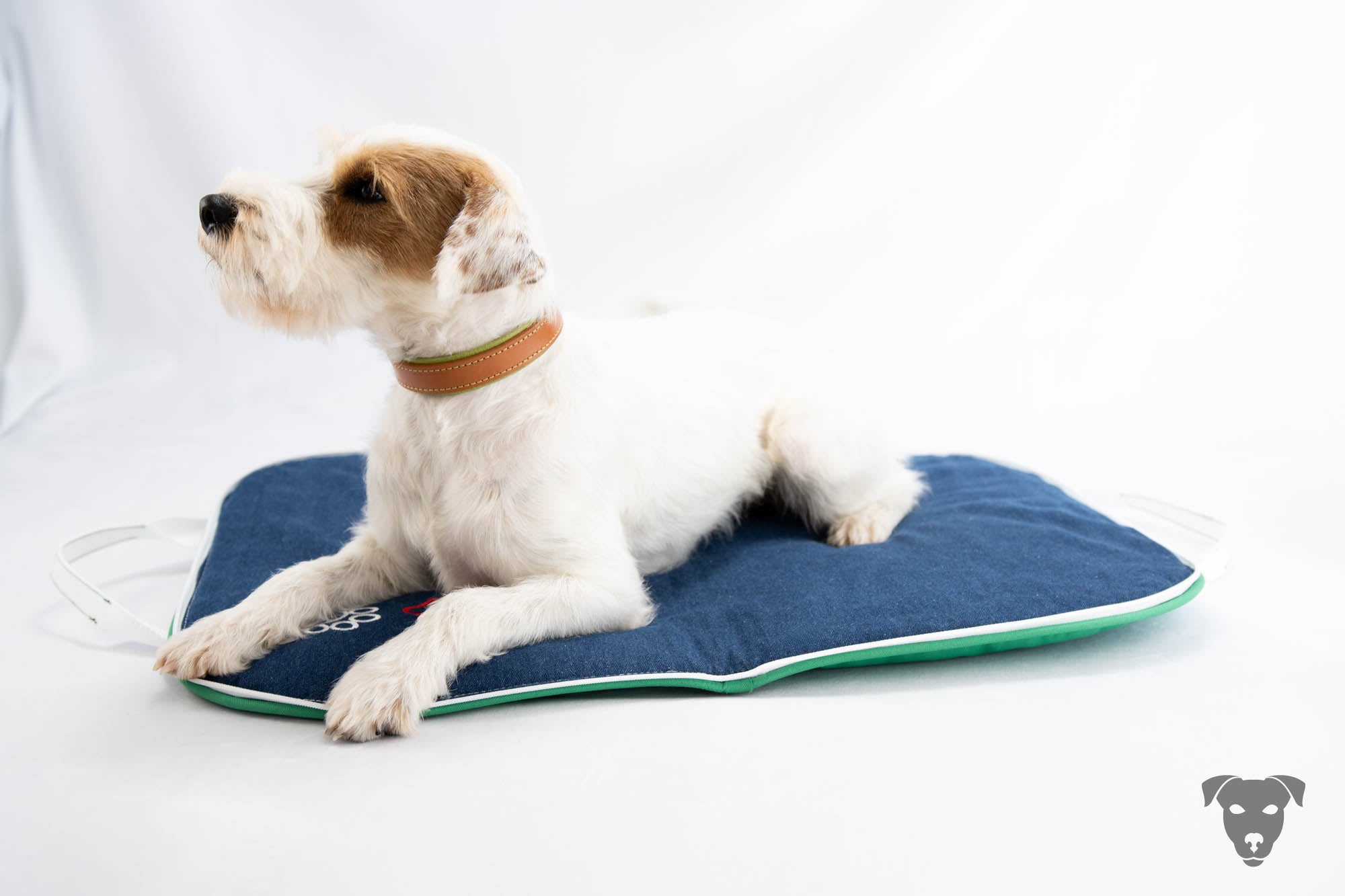 Riemen Halsband, Hunde Halsband handgefertigt, Halsband Konfigurator, DIY Hundehalsband, Riemen Halsband handmade-4-dogs, Lasergravierter Steckverschluss