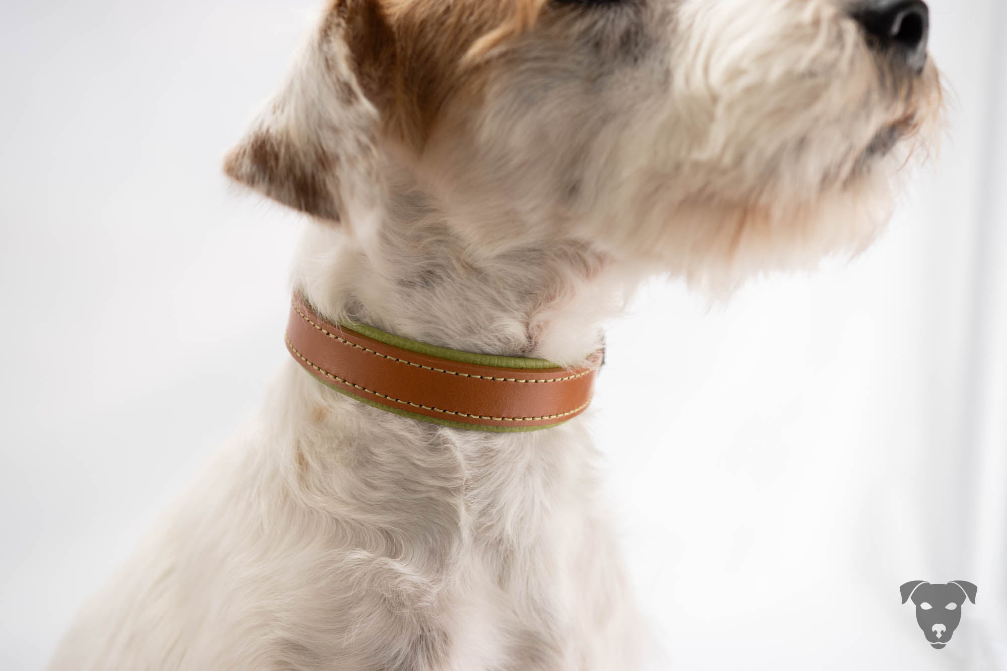Riemen Halsband, Hunde Halsband handgefertigt, Halsband Konfigurator, DIY Hundehalsband, Riemen Halsband handmade-4-dogs, Lasergravierter Steckverschluss