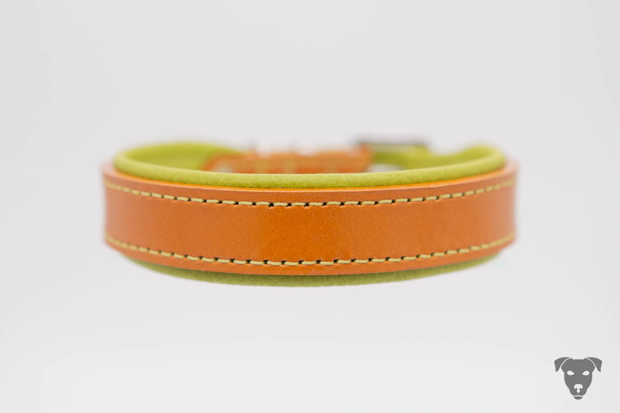 Riemen Halsband, Hunde Halsband handgefertigt, Halsband Konfigurator, DIY Hundehalsband, Riemen Halsband handmade-4-dogs, Lasergravierter Steckverschluss