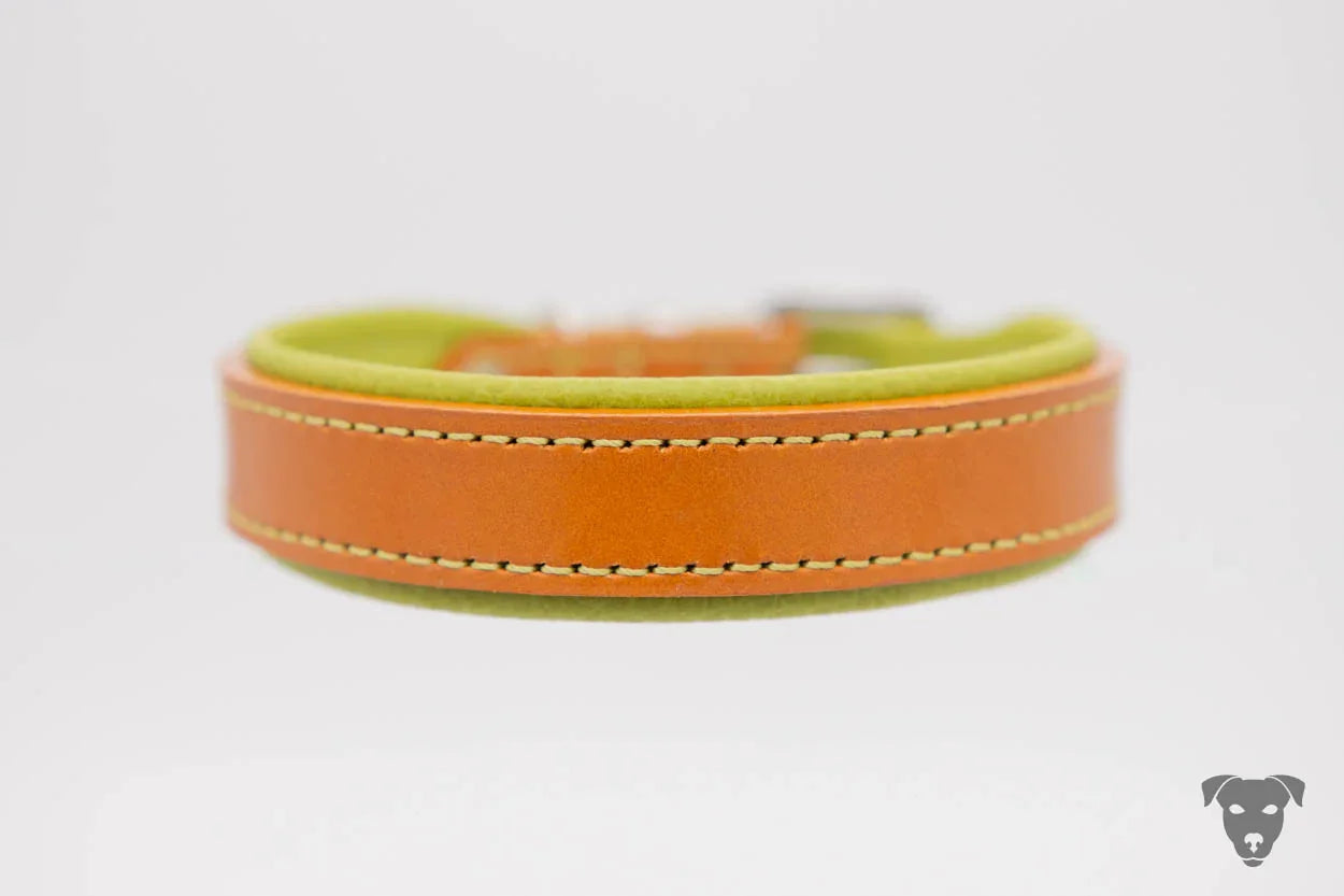 Riemen Halsband, Hunde Halsband handgefertigt, Halsband Konfigurator, DIY Hundehalsband, Riemen Halsband handmade-4-dogs, Lasergravierter Steckverschluss