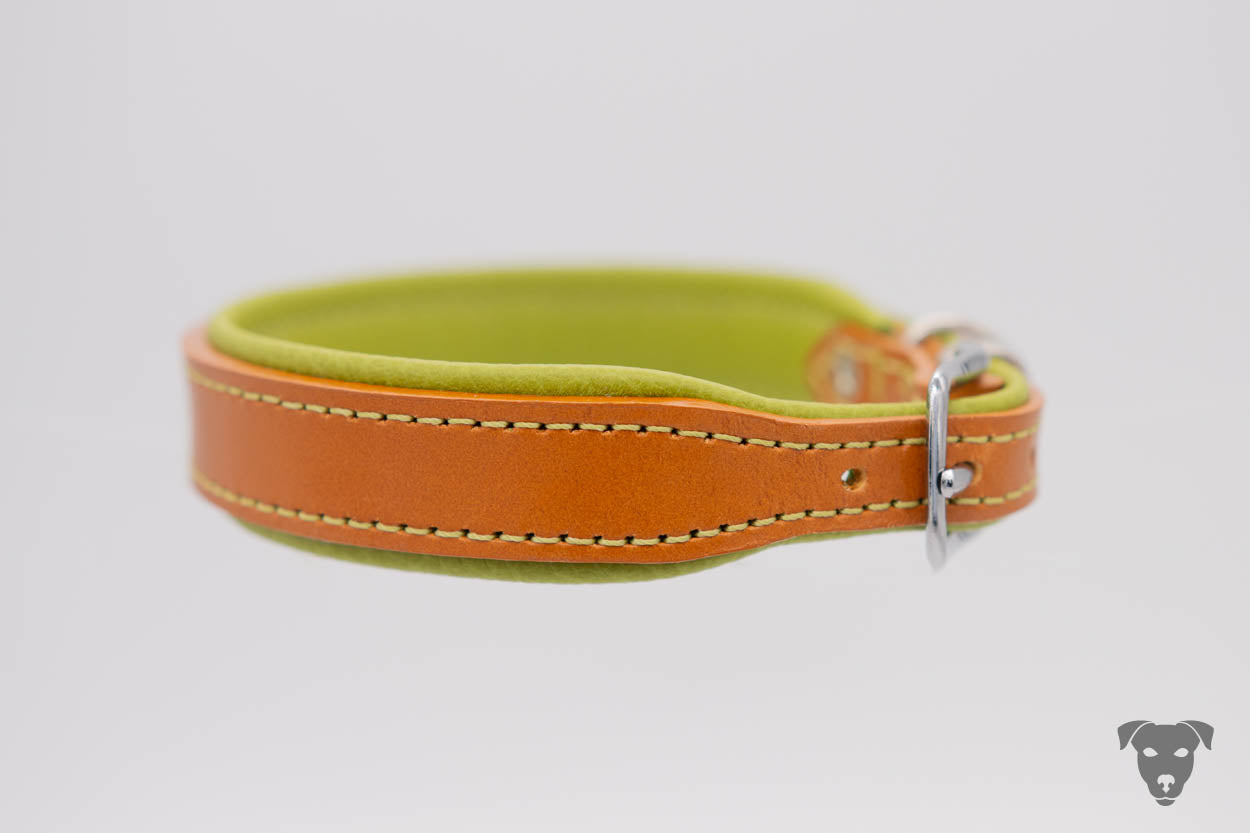 Riemen Halsband, Hunde Halsband handgefertigt, Halsband Konfigurator, DIY Hundehalsband, Riemen Halsband handmade-4-dogs, Lasergravierter Steckverschluss