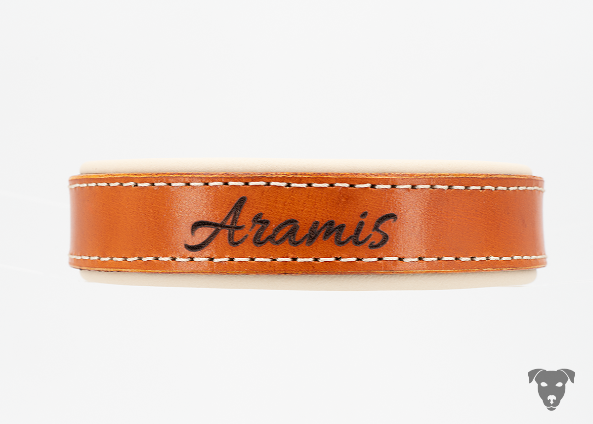 Riemen Halsband mit Namensgravur, Schnallenverschluss