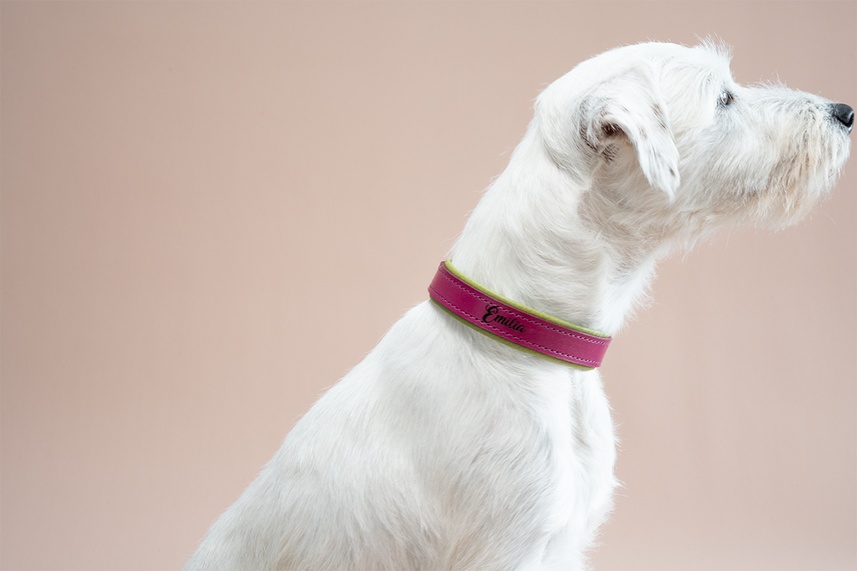 Riemen Halsband mit Leder-Zugstopp