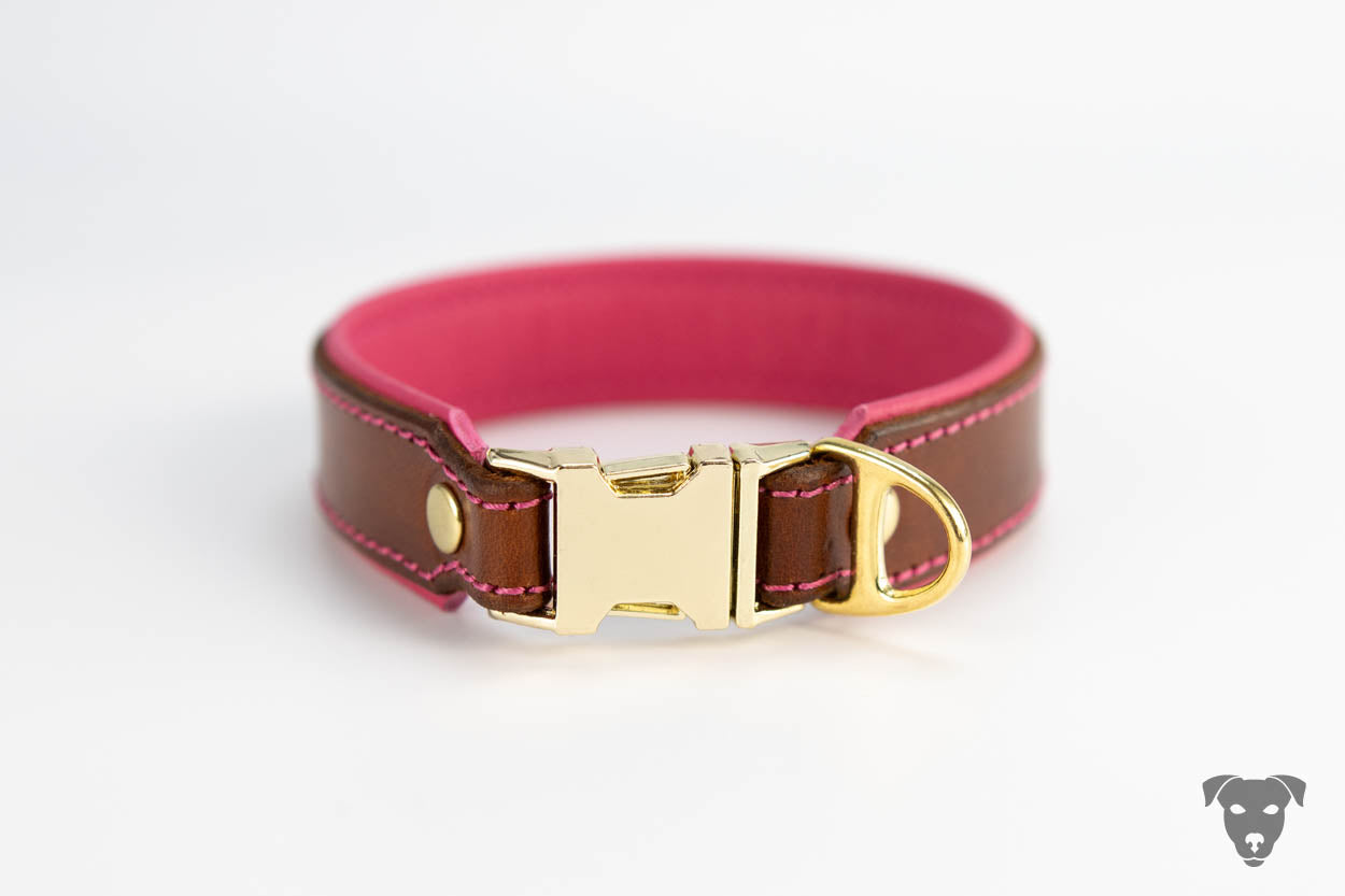 Riemen Halsband, Hunde Halsband handgefertigt, Halsband Konfigurator, DIY Hundehalsband, Riemen Halsband handmade-4-dogs, Lasergravierter Steckverschluss