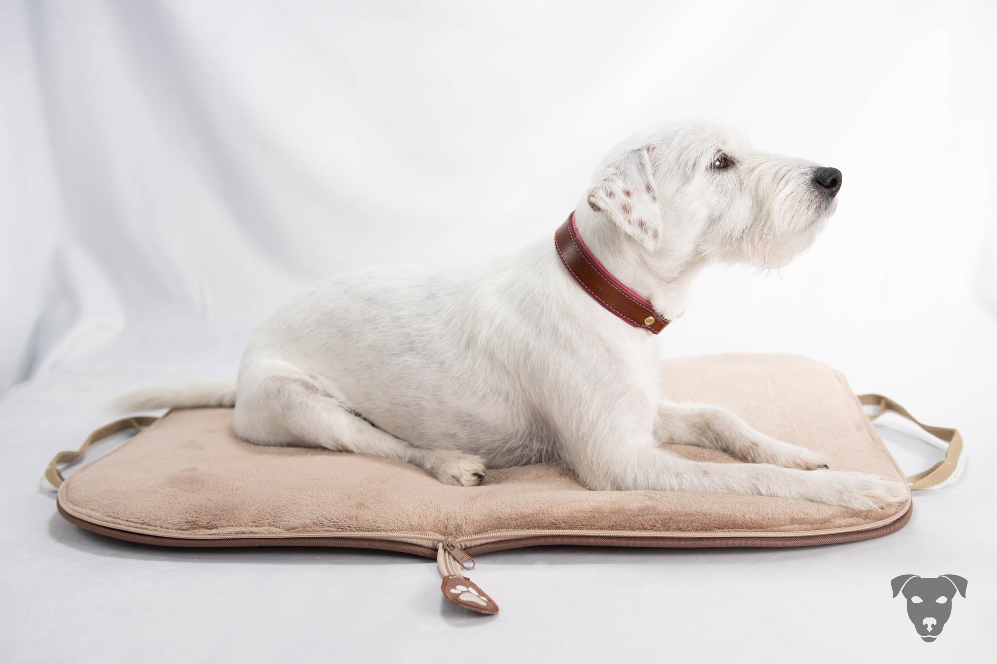 Riemen Halsband, Hunde Halsband handgefertigt, Halsband Konfigurator, DIY Hundehalsband, Riemen Halsband handmade-4-dogs, Lasergravierter Steckverschluss