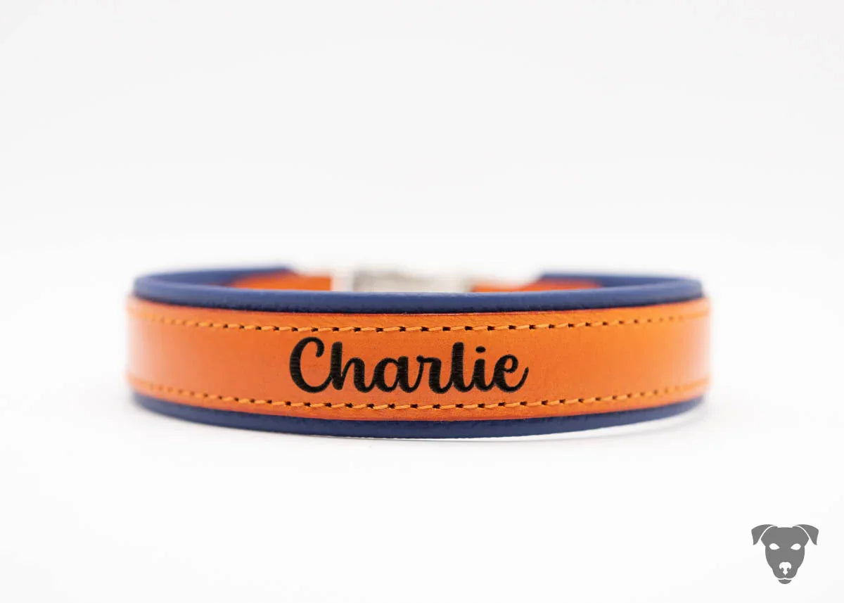Riemen Halsband mit Namensgravur, Schnallenverschluss