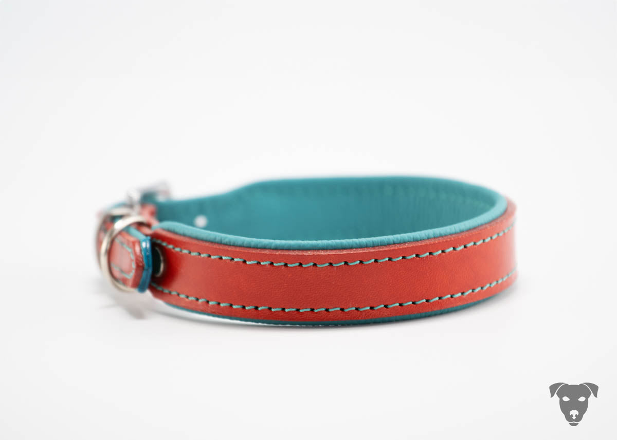Riemen Halsband, Hunde Halsband handgefertigt, Halsband Konfigurator, DIY Hundehalsband, Riemen Halsband handmade-4-dogs