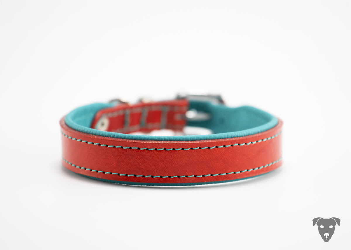 Riemen Halsband, Hunde Halsband handgefertigt, Halsband Konfigurator, DIY Hundehalsband, Riemen Halsband handmade-4-dogs