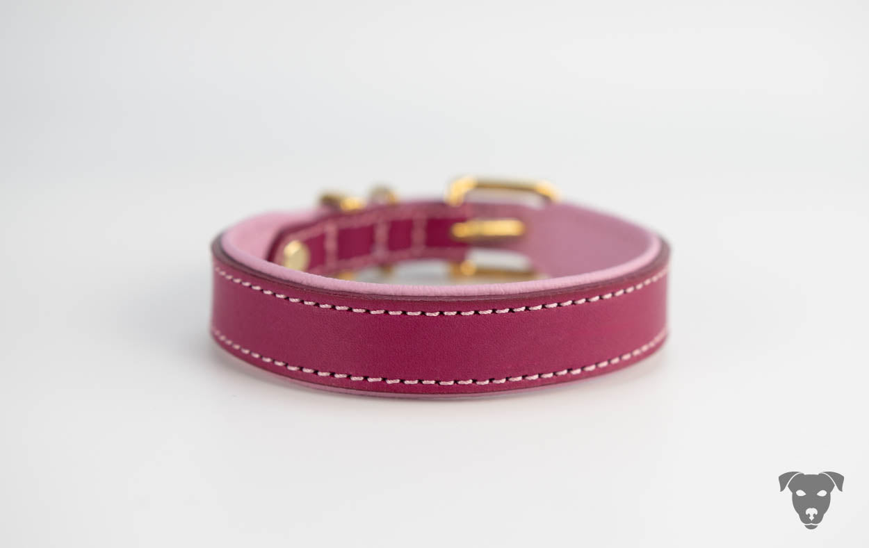 Riemen Halsband - magenta