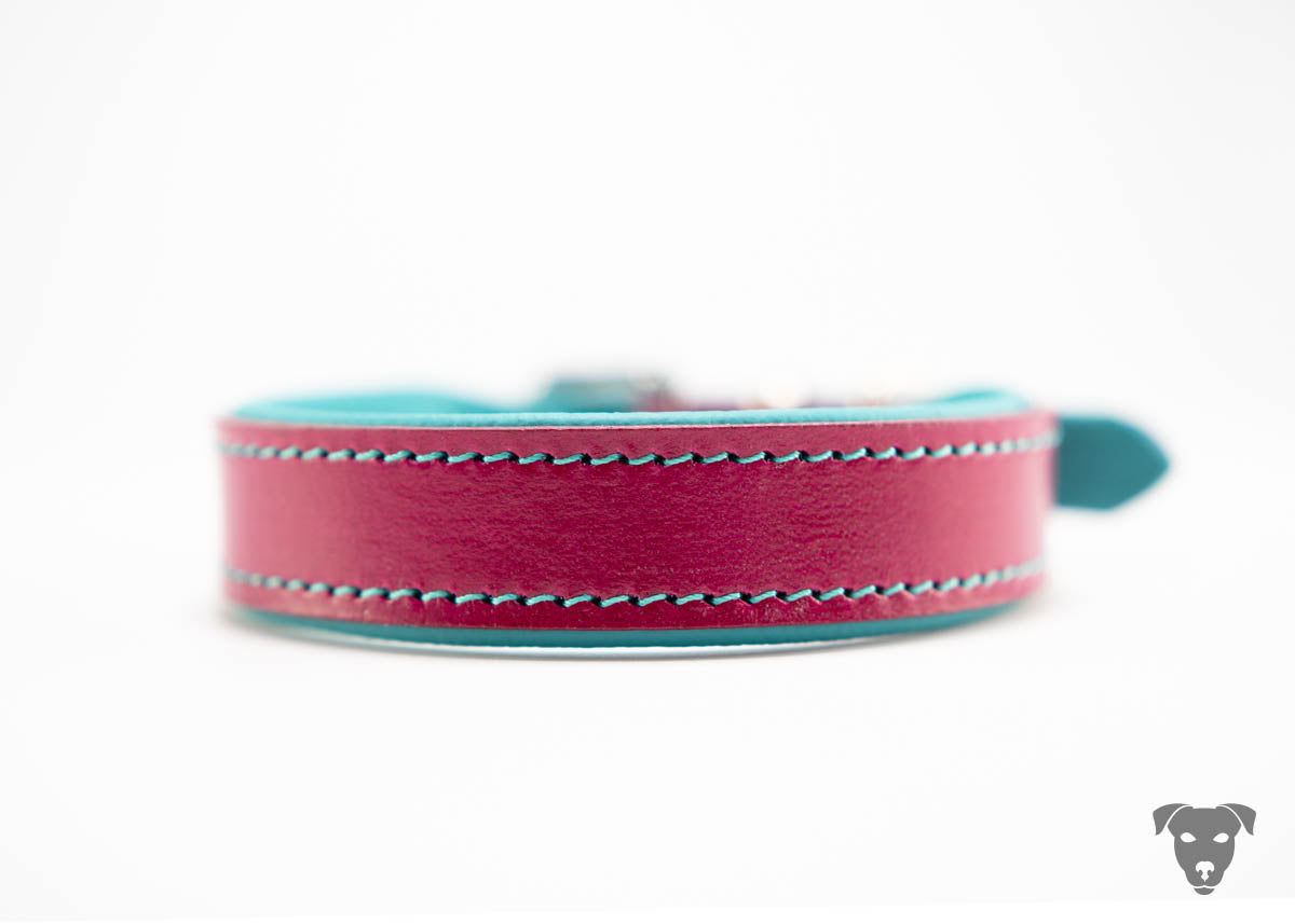 Riemen Halsband, Hunde Halsband handgefertigt, Halsband Konfigurator, DIY Hundehalsband, Riemen Halsband handmade-4-dogs