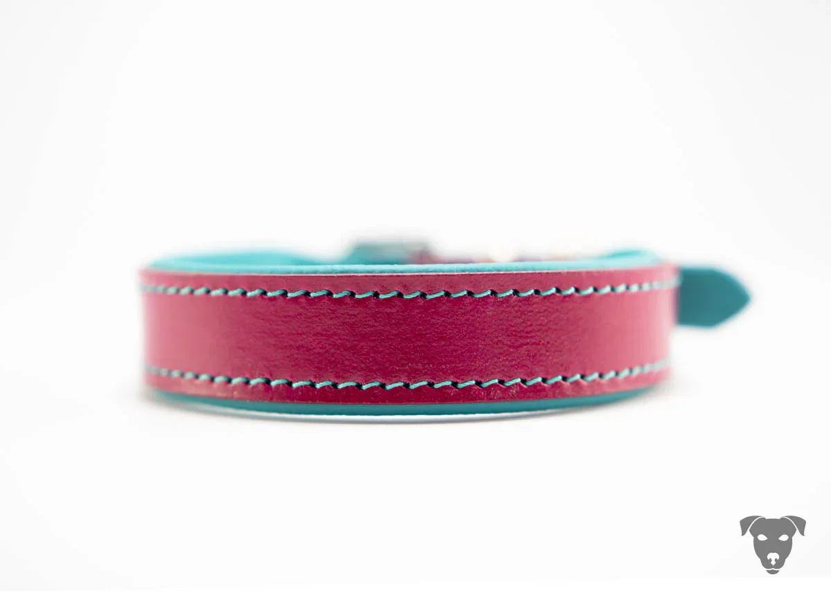 Riemen Halsband, Hunde Halsband handgefertigt, Halsband Konfigurator, DIY Hundehalsband, Riemen Halsband handmade-4-dogs