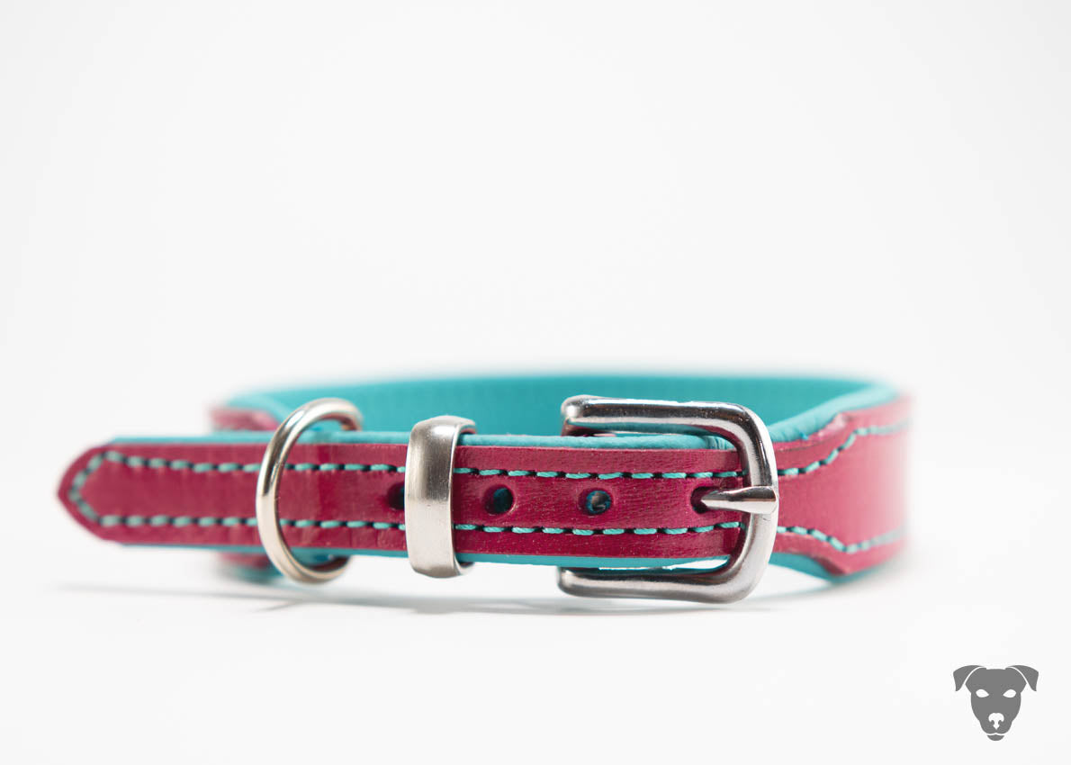 Riemen Halsband, Hunde Halsband handgefertigt, Halsband Konfigurator, DIY Hundehalsband, Riemen Halsband handmade-4-dogs