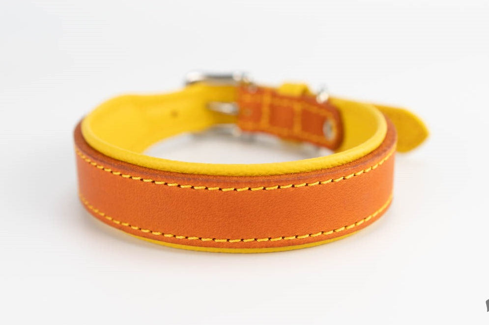 Fettleder Hundehalsband mit Nappaleder hinterlegt, handgefertigt, handmade-4-dogs