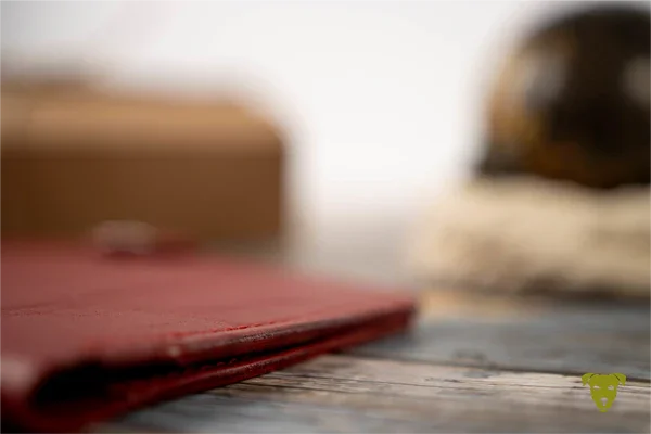 Impfpasshülle aus kirschrotem Leder