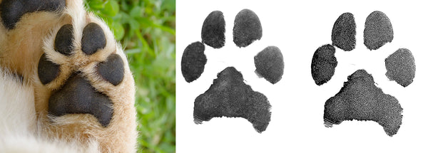 handmade-4-dogs, laser gravierter Schlüsselanhänger, Schmuck mit graviertem Pfotenabdruck, graviertem Nasenabdruck vom Hund, graviertem Baby Fußabdruck, gravierter Fingerabdruck