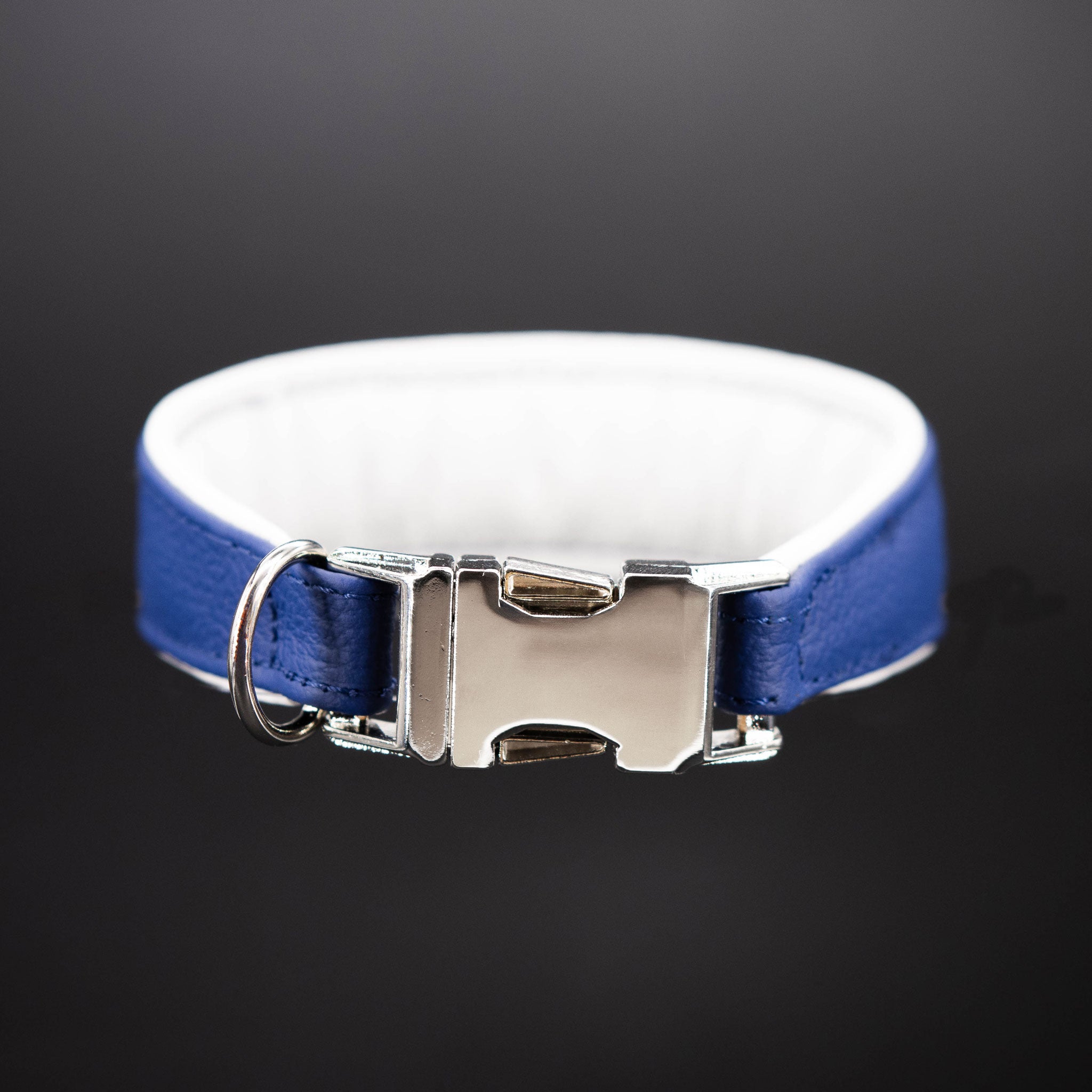 Silberner Metall-Steckverschluss am blauen Lederhalsband