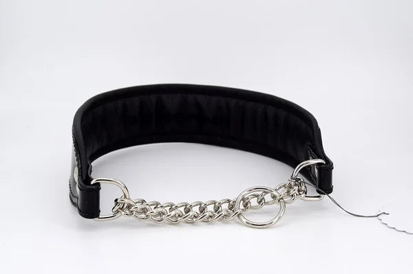 Riemen Halsband, Hunde Halsband handgefertigt, Halsband Konfigurator, DIY Hundehalsband, Riemen Halsband handmade-4-dogs, Lasergravierter Steckverschluss